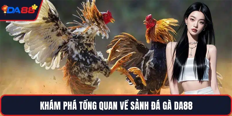 Khám phá tổng quan về sảnh đá gà DA88