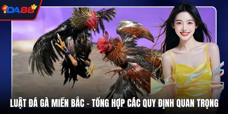 Luật đá gà Miền Bắc