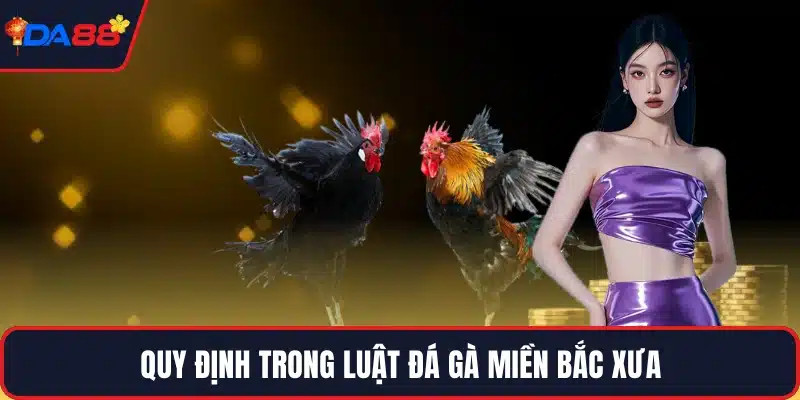 Quy định trong luật đá gà miền bắc xưa