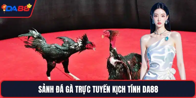 Sảnh đá gà trực tuyến kịch tính DA88