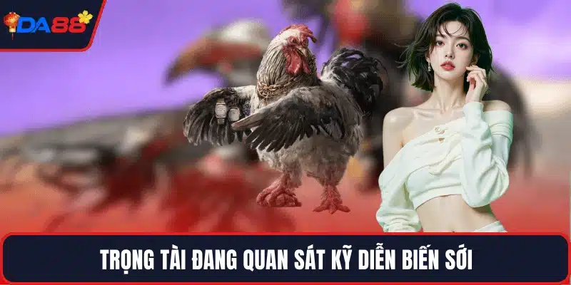 Trọng tài đang quan sát kỹ diễn biến sới